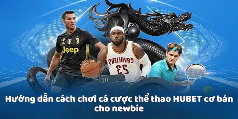 Hướng dẫn cách chơi cá cược thể thao HUBET cơ bản cho newbie