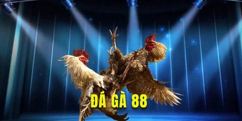 Đá gà 88