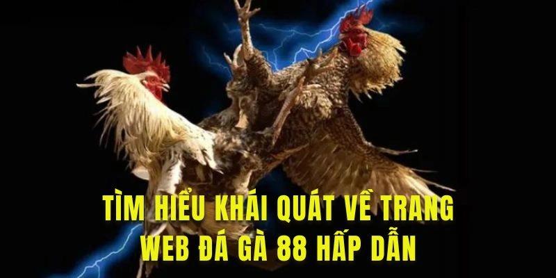 Tìm hiểu khái quát về trang web Đá gà 88 hấp dẫn